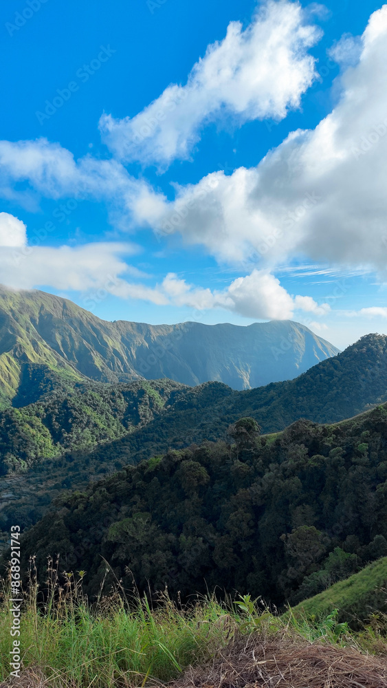 Fototapeta premium green hills, peaks of Pergasingan hills around Mount Rinjani. its landscape for hiking and outdoor lifestyle concept. beautiful natural scenery