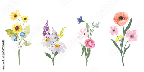 Set of bouquet vector. Watercolor floral arrangement with wildflower, rose, poppy, sunflower, eucalyptus, leaves branch in minimal style. Botanical illustration design for logo, wedding, decor, print.