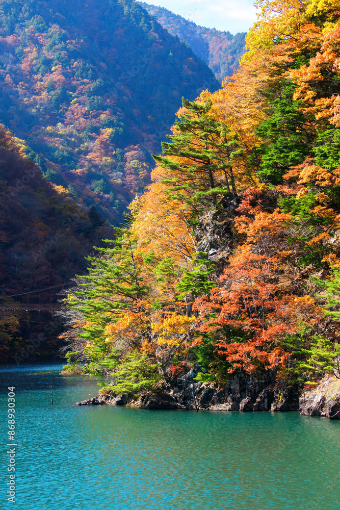 素晴らしい紅葉に染まる水殿ダム。
紅葉に染まる梓川沿いの山道を車で登ってゆく。
日本国長野県松本市 - 2021年11月6日。
素晴らしい紅葉に染まる水殿ダム。
紅葉に染まる梓川沿いの山道を車で登ってゆく。
日本国長野県松本市 - 2021年11月6日。