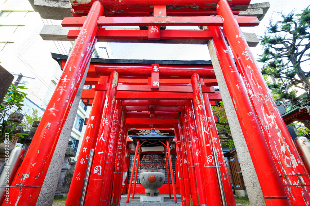 松本駅近くの浄林寺と瘡守稲荷。
赤い鳥居と見事な山門が印象的。
山門には「清水山」と書かれている。
美しい長野の中核都市、松本市を歩く。
日本国長野県松本市 - 2021年11月7日。
