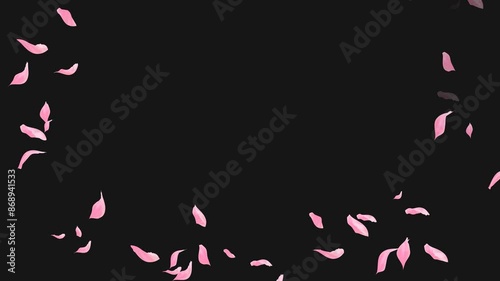 Loop Flying Sakura on Transparent Background. Blossom. Cherry. Alpha Channel