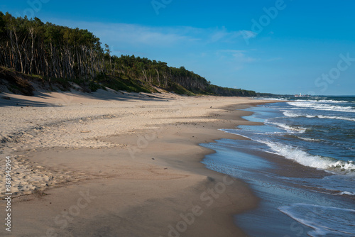 Fototapeta Naklejka Na Ścianę i Meble -  View of the Baltic Sea coast near the village of Lesnoy on the Curonian Spit on a sunny summer day, Kaliningrad region, Russia