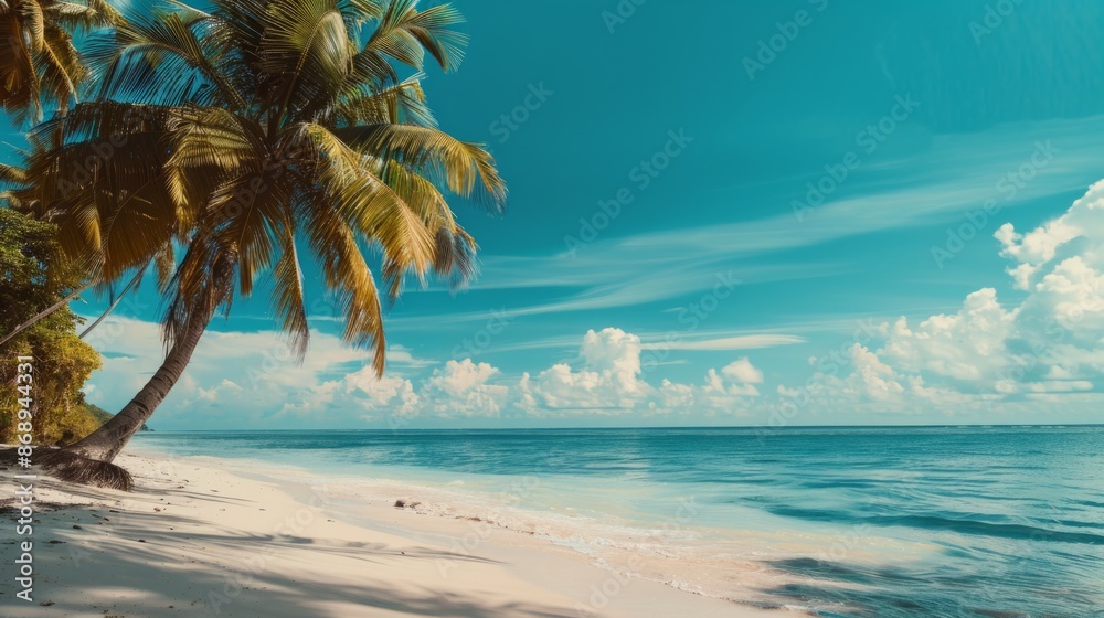 Fototapeta premium sand beach with palm trees in the sculpted caribbean island. White clouds on blue sky