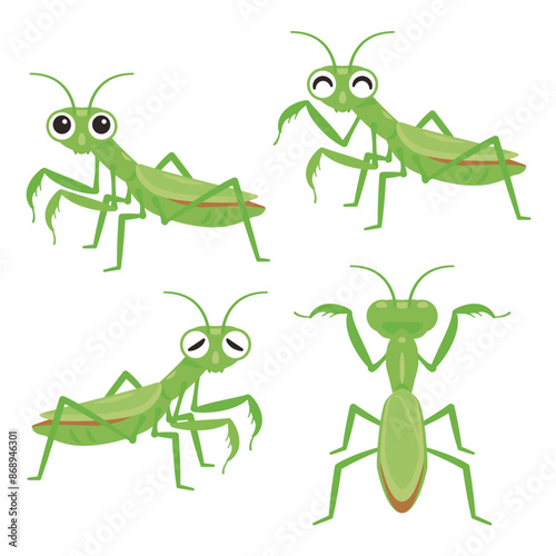 カマキリセット
