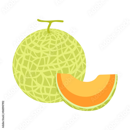 カンタロープメロン。フラットなベクターイラスト。 Cantaloupe melon. Flat vector illustration.	