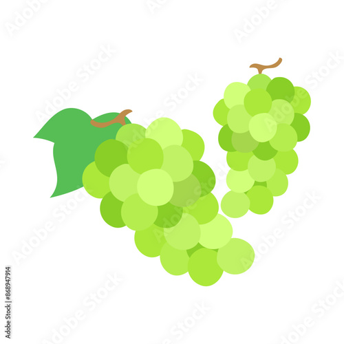 マスカットの房。フラットなベクターイラスト。 Bunches of muscat grapes. Flat designed vector illustration.	