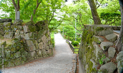 Obraz na plátně Okazaki castle in Aichi prefecture, Chubu, Japan.