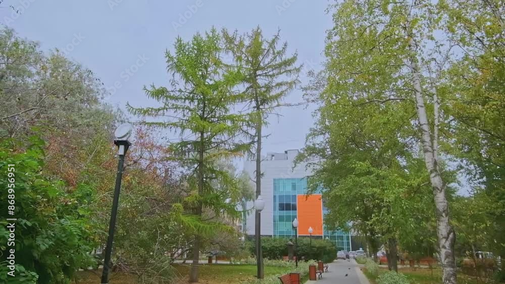 ToDo Near Me – Explore Your Local World