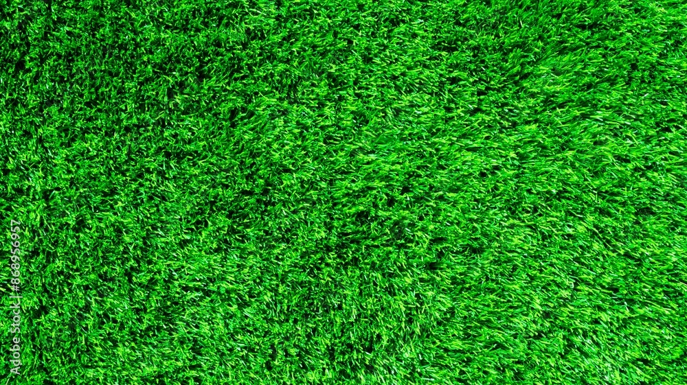 Fototapeta premium Green grass background, wallpaper