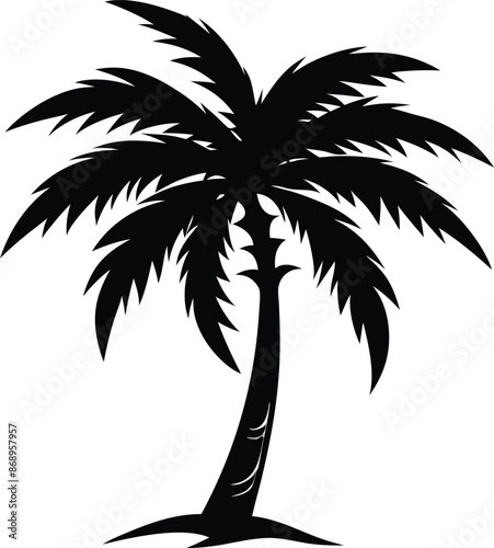 Collection of a black palm trees shapes, silhouettes of an exotic plants. Vector illustration isolated on white background