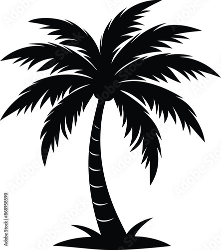 Collection of a black palm trees shapes, silhouettes of an exotic plants. Vector illustration isolated on white background