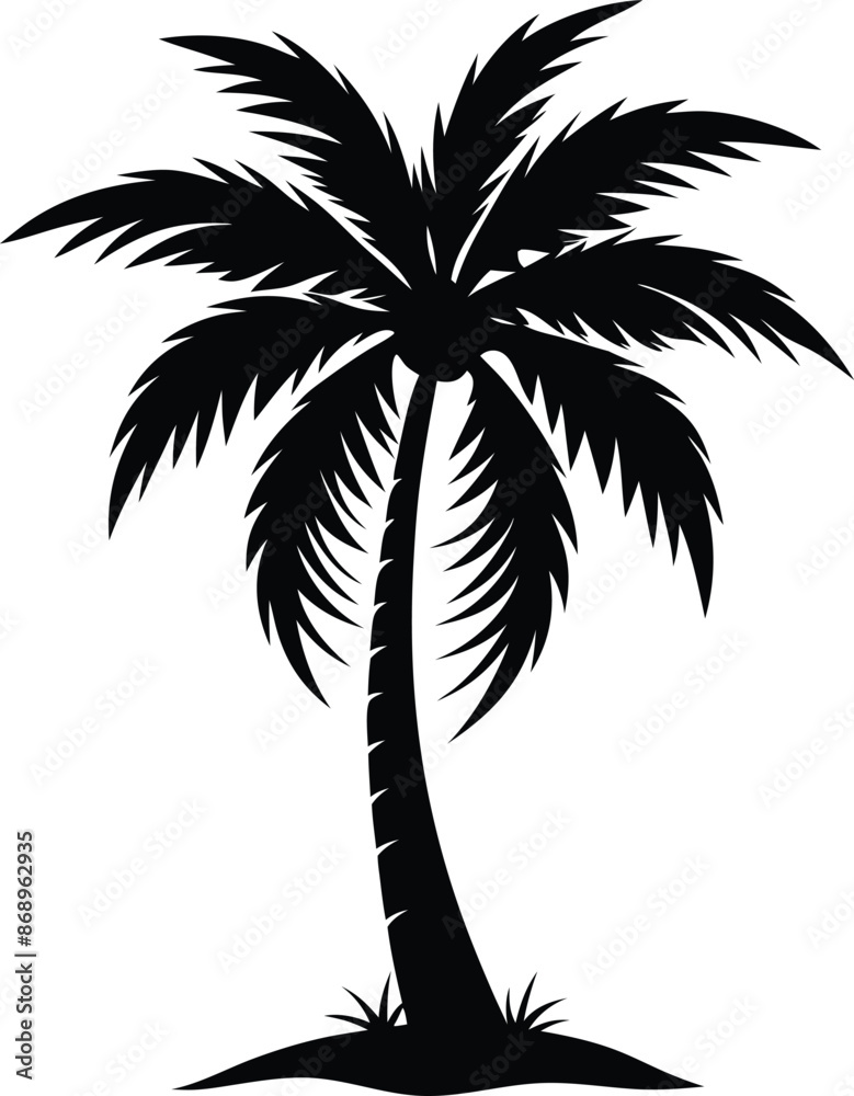 Collection of a black palm trees shapes, silhouettes of an exotic plants. Vector illustration isolated on white background Collection of a black palm trees shapes, silhouettes of an exotic plants. Vector illustration isolated on white background