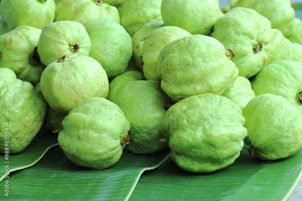 Guava kimju is sweet, crisp and delicious, and is eaten by most consumers who sell it as street food in Thailand. Guava kimju is sweet, crisp and delicious, and is eaten by most consumers who sell it as street food in Thailand.