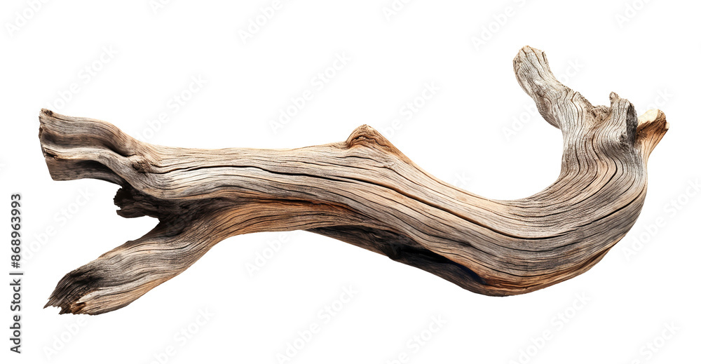 Dried dead tree trunk. Weathered driftwood cut out Dried dead tree trunk. Weathered driftwood cut out