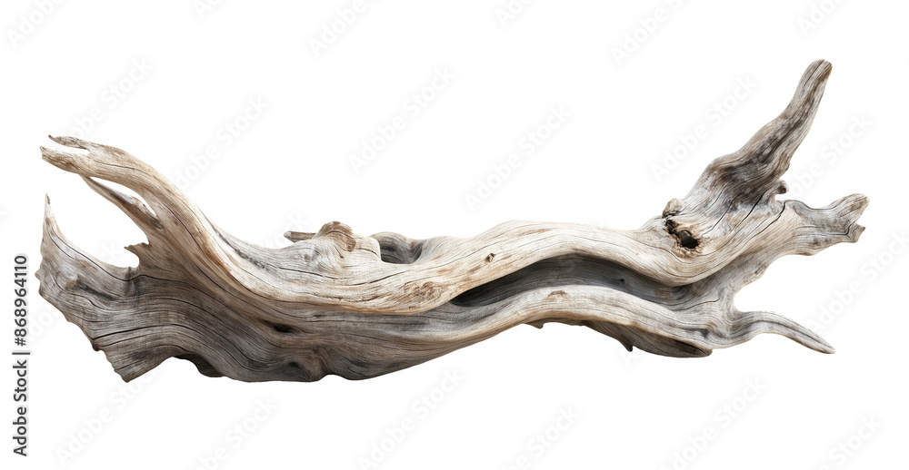 Dried dead tree trunk. Weathered driftwood cut out Dried dead tree trunk. Weathered driftwood cut out