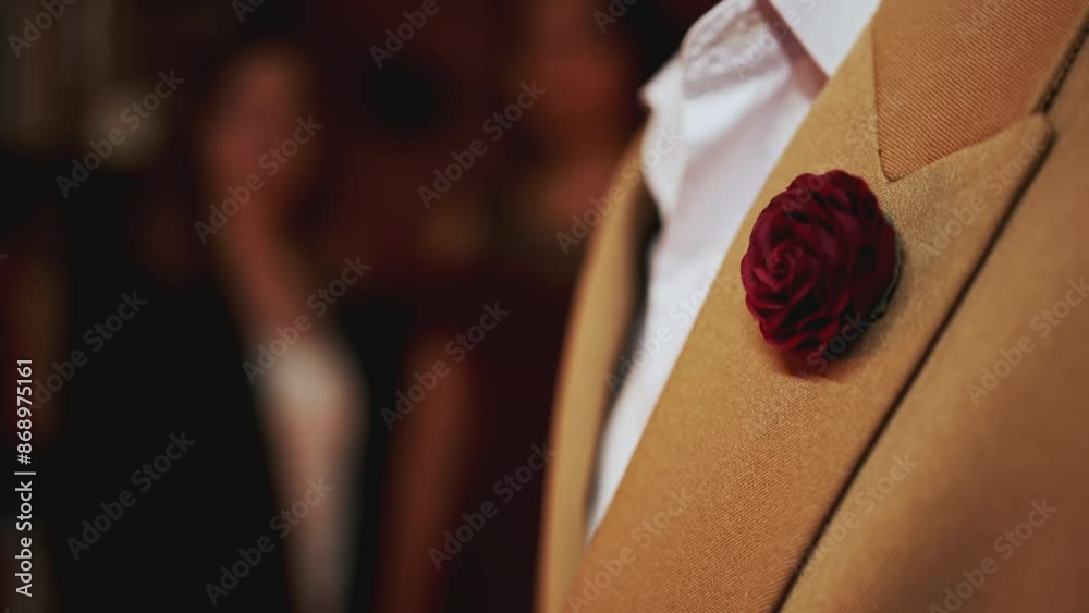 Artificial boutonniere on the groom jacket. Stock footage. Man touching an element of the wedding suit.