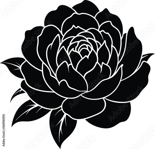 peony flowers drawings. abstract flower illustration. hand drawn vector art.