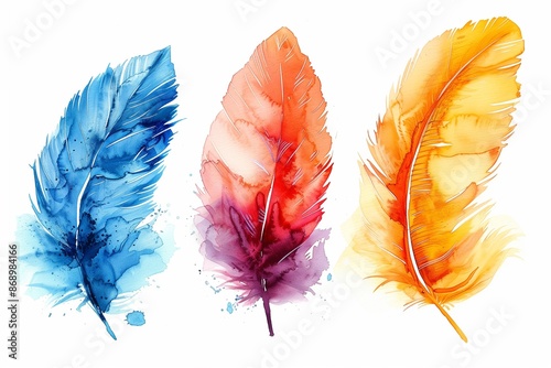 Colored feathers in water color isolated on white backgrond 