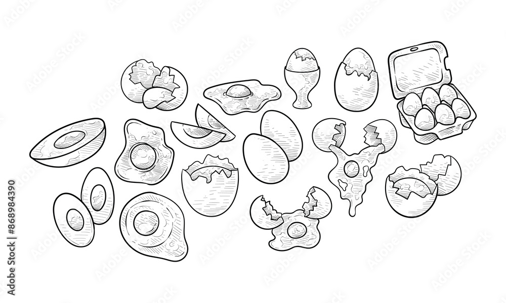 chicken eggs handdrawn collection chicken eggs handdrawn collection