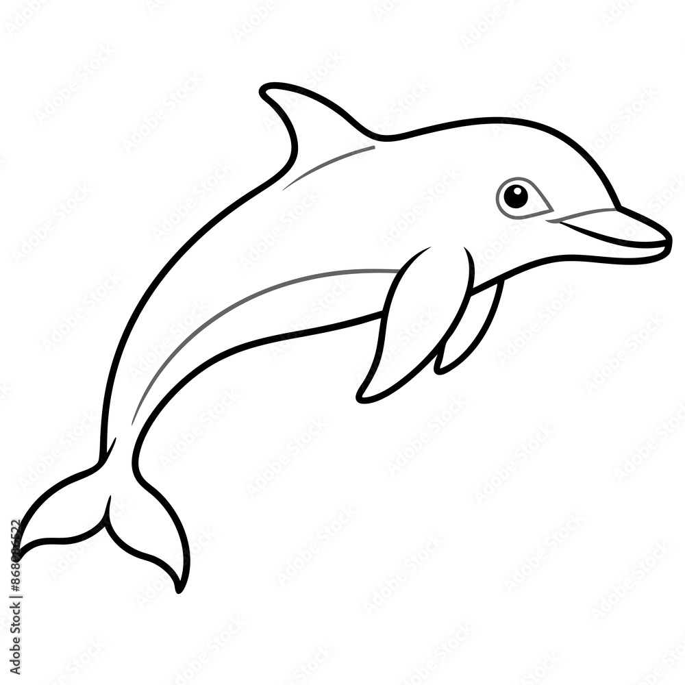 dolphin isolated on white background