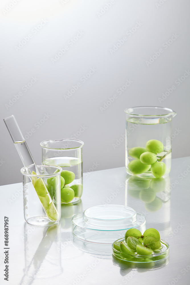 Laboratory scene with green grape ingredient displayed in experiment tools, over white background. Photo of front view with blank showcase podium for product displaying, copy space for text Laboratory scene with green grape ingredient displayed in experiment tools, over white background. Photo of front view with blank showcase podium for product displaying, copy space for text