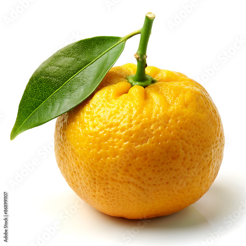 Yuzu fruit isolated on white background.