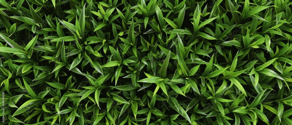 Panoramic close-up, high detail scan of crabgrass material, Generative AI Panoramic close-up, high detail scan of crabgrass material, Generative AI