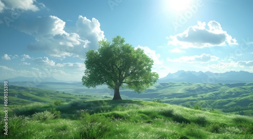 Lonely Tree on a Rolling Green Hilltop Under a Sunny Sky