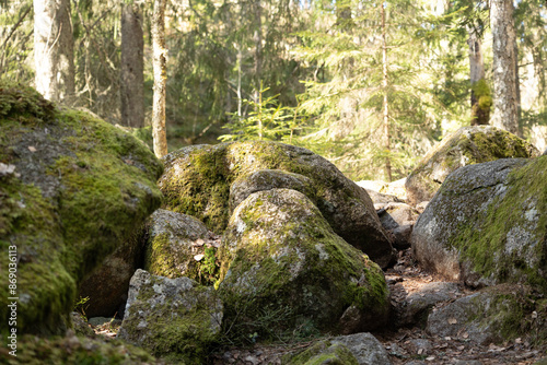 Beautiful huge boulders in the Tividen National Park in Sweden. Natural springtime scenery of forest in Scandinavia. © dachux21