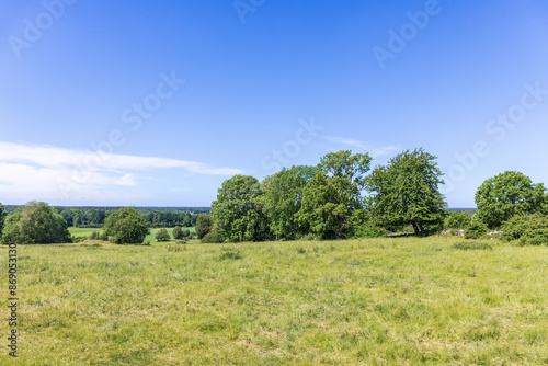 Grass meadow with a beautiful landscape view photo