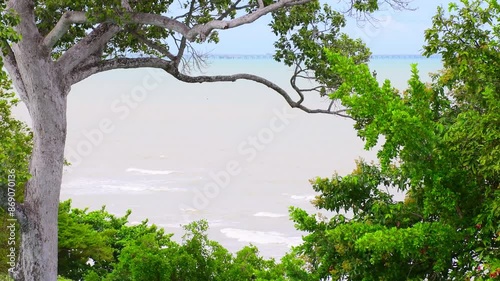 Sea and tree with bright sky background.