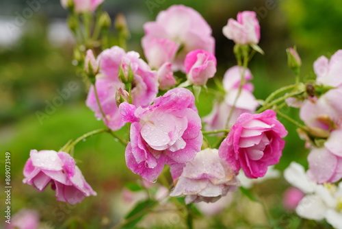 It feels like Autumn is coming. I love Autumn.