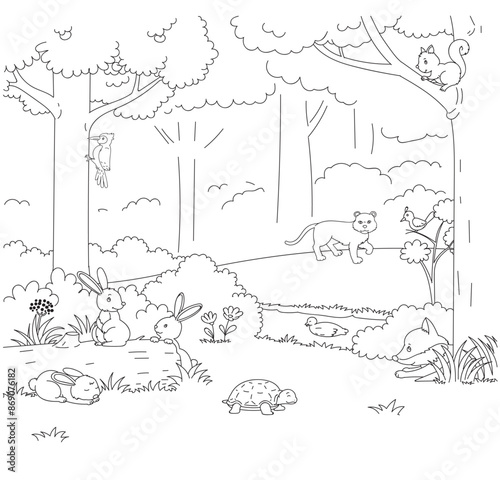 the forest home animal no color.