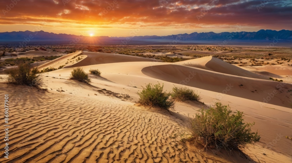 Fototapeta premium sunset in the desert