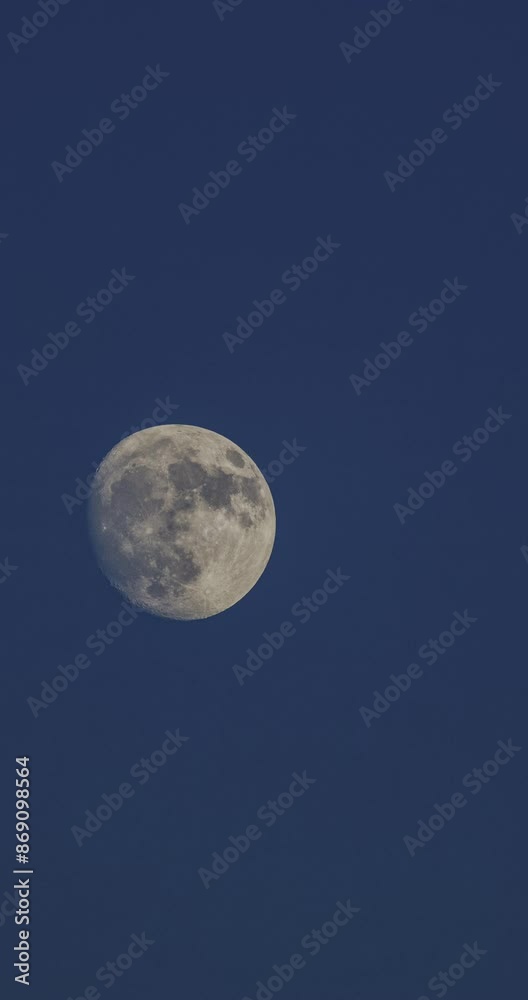 Almost full moon rising against the blue sky in the evening vertical video Almost full moon rising against the blue sky in the evening vertical video