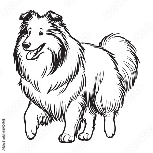 Line art of Collie dog cartoon walking vector