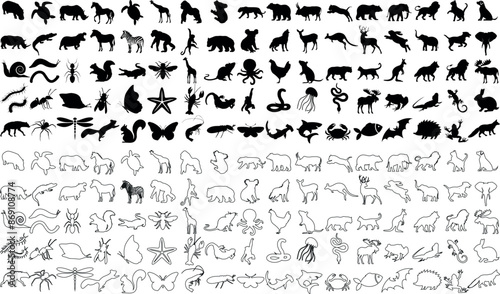 Animal silhouette and outline collection, perfect animal line art for logos, illustrations, designs. Includes lizard, reptile, amphibian, fish, insect, mammal, bird, aquatic silhouette and outline