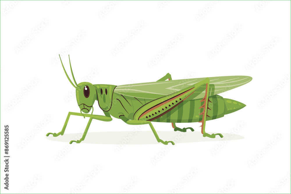 cute green locust cartoon, isolated on a white background, Flat style cartoon vector illustration. Cricket. Cartoon grasshopper isolated on white background. Grasshopper. Cute cartoon character. cute green locust cartoon, isolated on a white background, Flat style cartoon vector illustration. Cricket. Cartoon grasshopper isolated on white background. Grasshopper. Cute cartoon character.