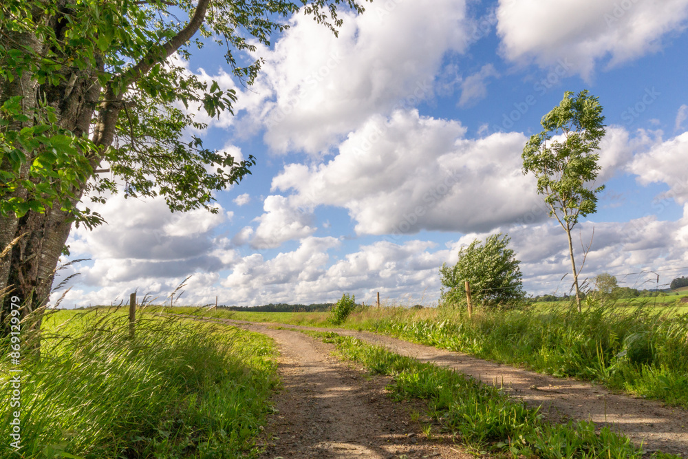 Paysage d'été dans la campagne, paysage,été,printemps, sentier, chemin, arbre,vert,ciel,bleu,nuage,bucolique,nature, environnement, suède, europe, scandinavie, halland Paysage d'été dans la campagne, paysage,été,printemps, sentier, chemin, arbre,vert,ciel,bleu,nuage,bucolique,nature, environnement, suède, europe, scandinavie, halland