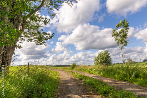 Paysage d'été dans la campagne, paysage,été,printemps, sentier, chemin, arbre,vert,ciel,bleu,nuage,bucolique,nature, environnement, suède, europe, scandinavie, halland photo