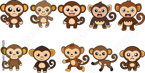 Capuchin Monkeys Bird design ,animal vector design