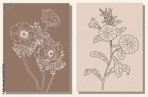 Set of birth month flowers wall art, posters. Poppy, August and Morning Glory, September. Botanical line art vector drawing on beige backgrounds. Modern design for jewelry, tattoo, logo, packaging.