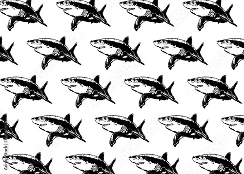 Repetitive shark pattern over white background photo