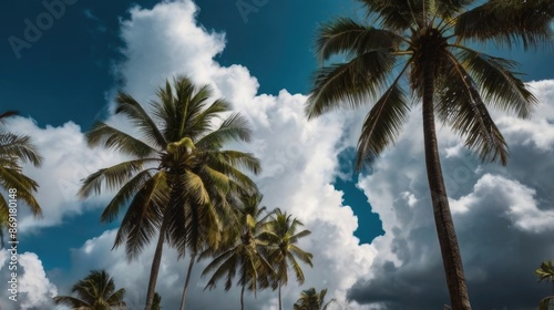 palm trees against a blue sky with clouds