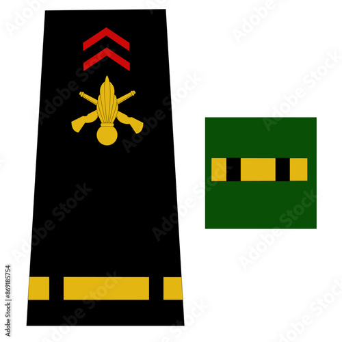 Galon de l'armée de terre française: Officier. Aspirant