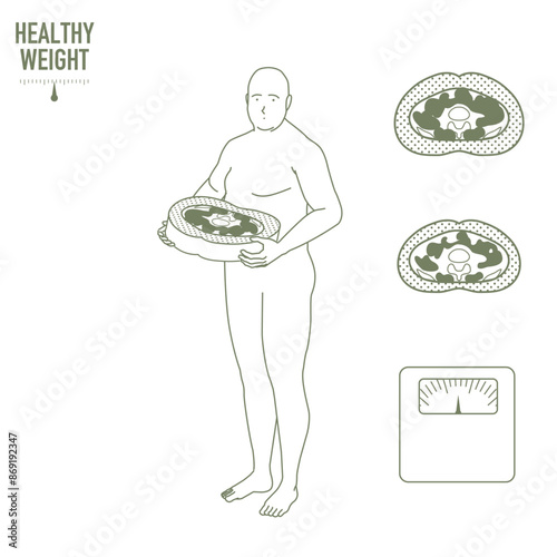 おなかの断面図と肥満体型の人物イラストセット