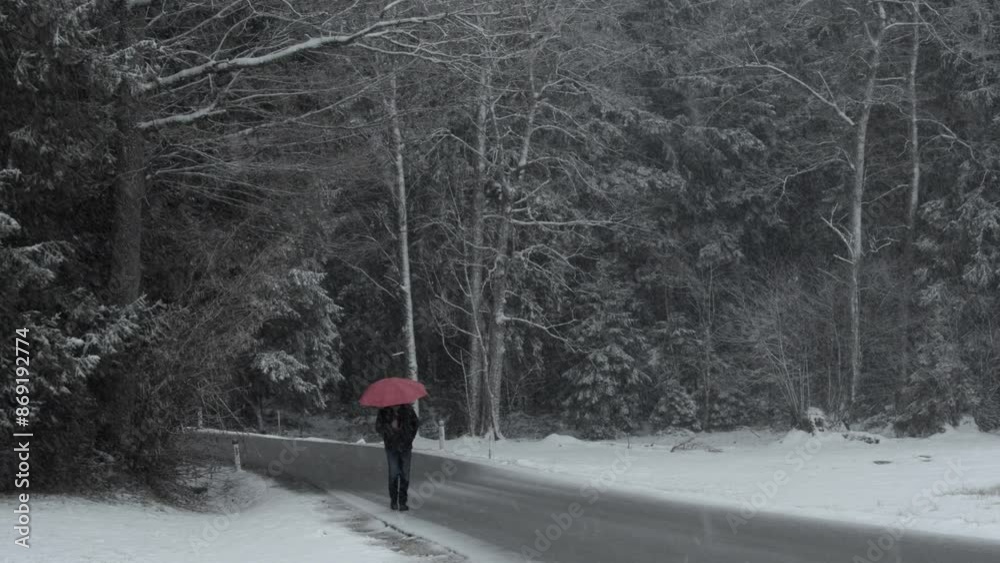 Man with red umbrella walks on snowy road during heavy snowfall Man with red umbrella walks on snowy road during heavy snowfall
