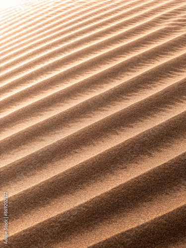 sand ripples in the sand