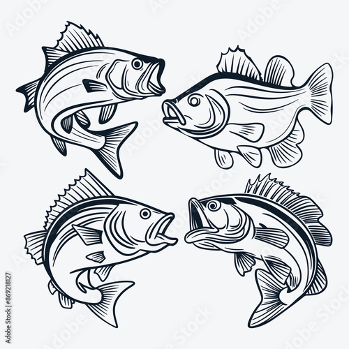 Bass Fish Vector Silhouette Collection for Fishing Lovers