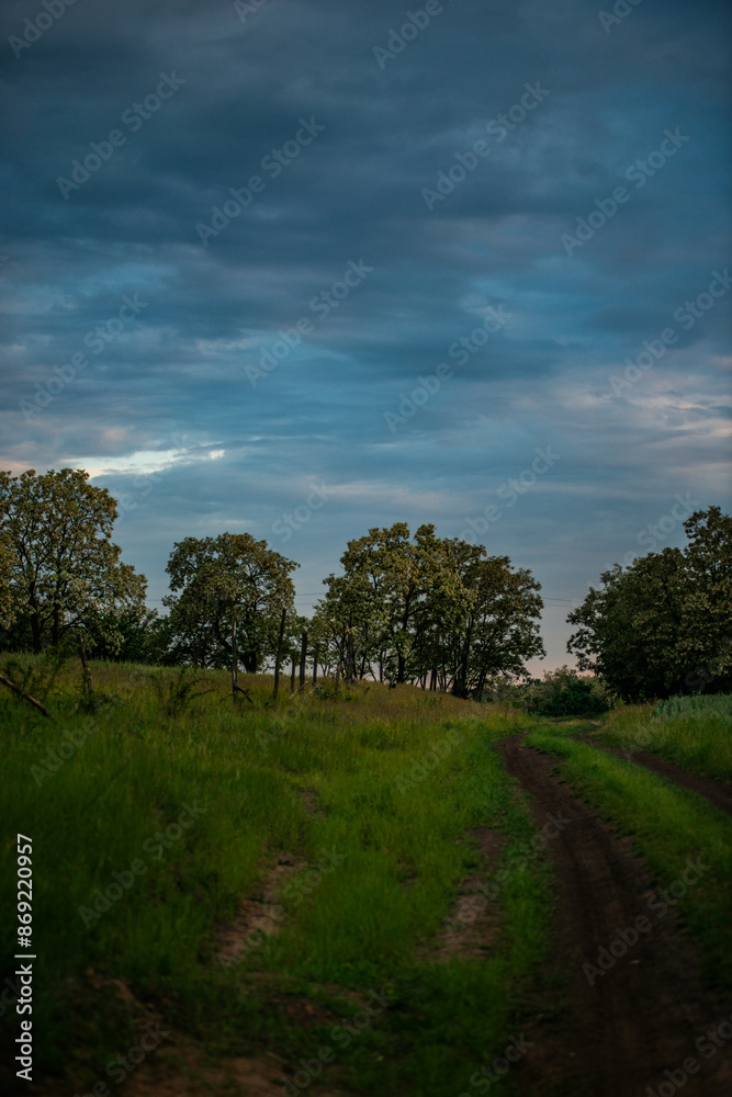 Purple sky . Grass on the field . Raod in the contryside . Trees and clouds . Fence on field Purple sky . Grass on the field . Raod in the contryside . Trees and clouds . Fence on field